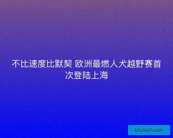 不比速度比默契 欧洲最燃人犬越野赛首次登陆上海